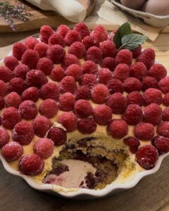 Homemade raspberry tiramisu