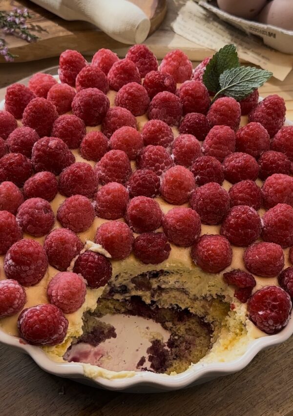 Homemade raspberry tiramisu